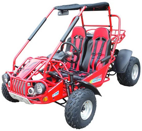Carburetor Comp for TrailMaster 300E XRS, 169.08.100