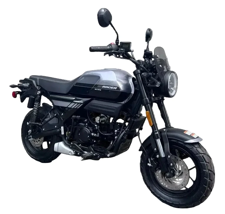 Racer 140cc Street Motorcycle, 4-speed Manual, Electric Start, Digital Speedometer, LED Headlight - Image 12