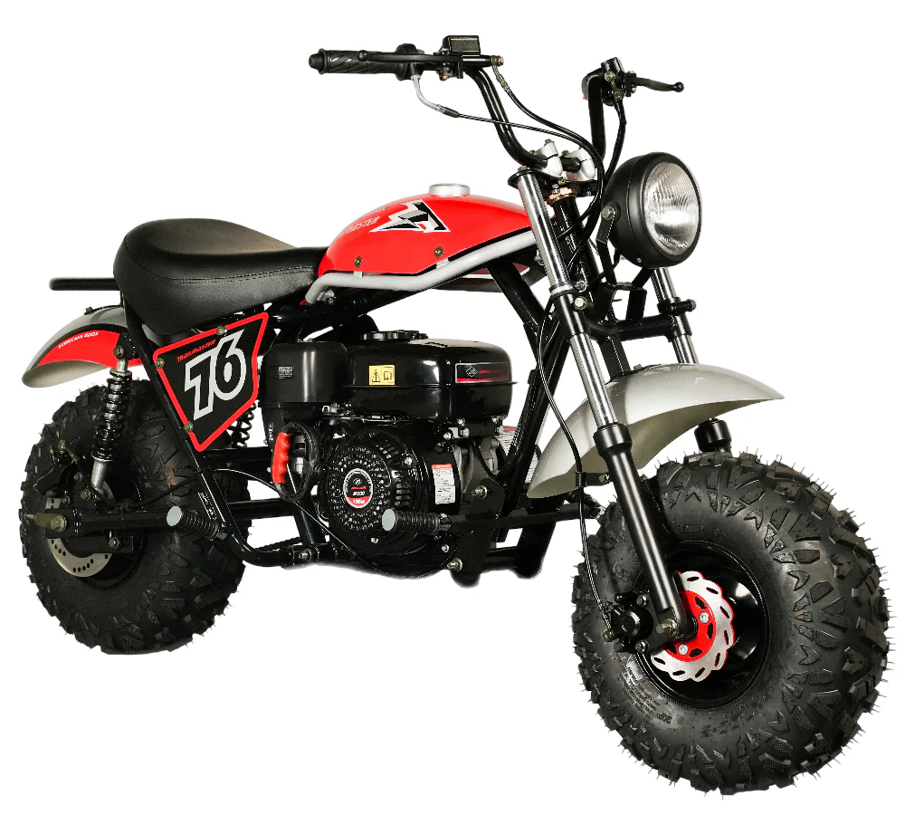 Rear Swing Arm for Trailmaster Hurricane 200X Mini Bike, 58210-PL
