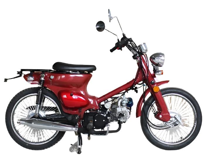 Rector 125 RTX Motorized Gas Bicycle, 125cc 4-Speed Manual - Image 4
