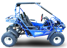 TrailMaster 300E XRS (EFI) Dune Buggy Go Kart, Liquid Cooled, Chain Drive - Image 4