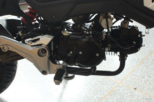 Vader 125cc Motorcycle, 4-Speed Manual, Hydraulic Disc Brakes, 12-inch Wheels - Image 23