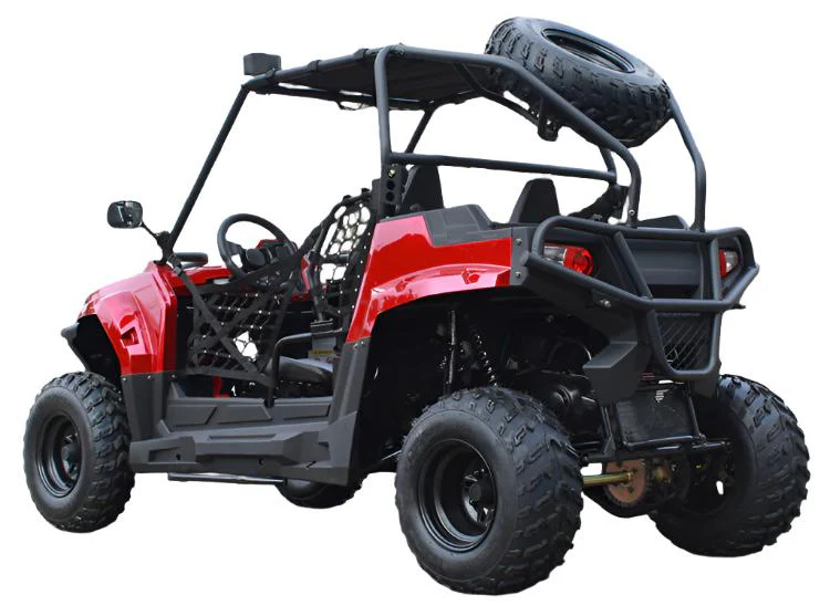 Victory 200 UTV Side-by-Side, Electric Start, Automatic with Reverse, Ages 16 and up - Image 8